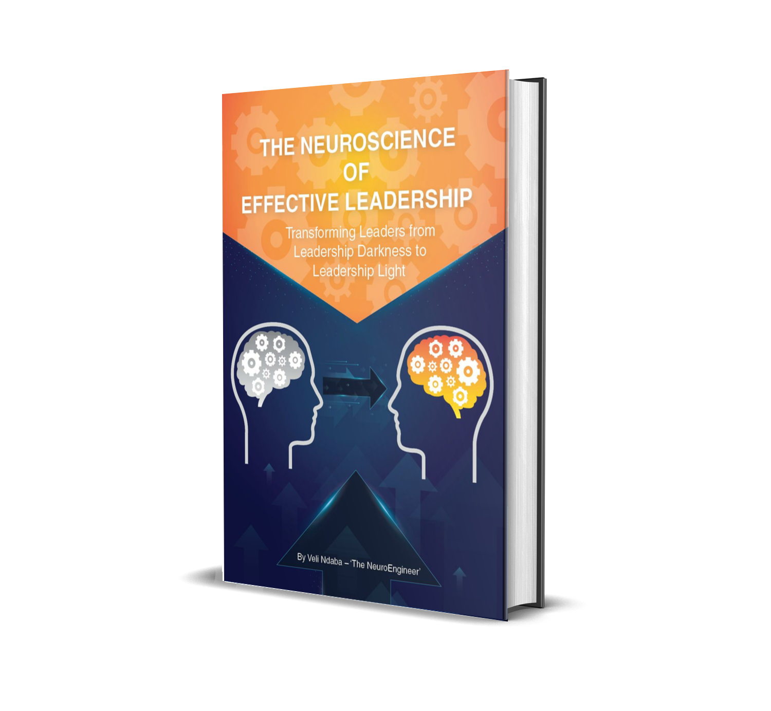 the neurosceince of effective leadership the neurosceince of effective leadership